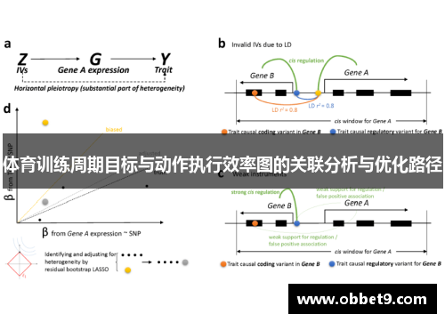 体育训练周期目标与动作执行效率图的关联分析与优化路径